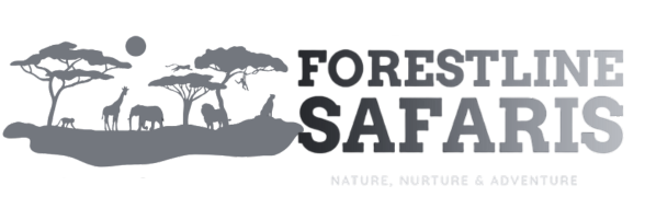 Forestline Safaris