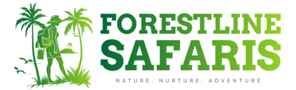 Forestline Safaris