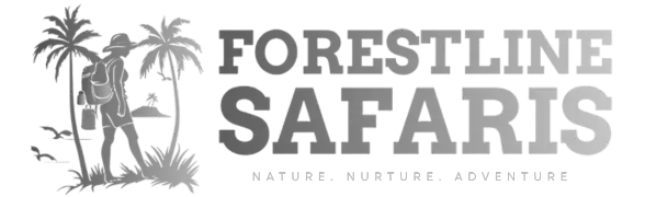 Forestline Safaris