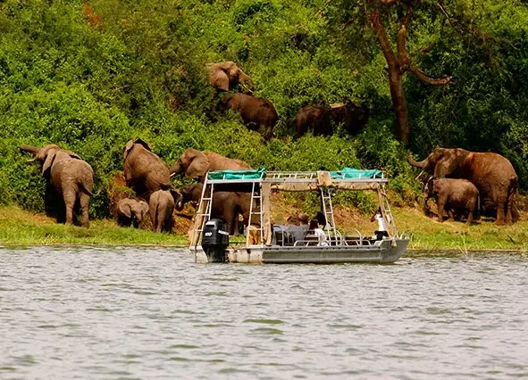 3 Days Wild Tour – Queen Elizabeth National Park Safari, Uganda