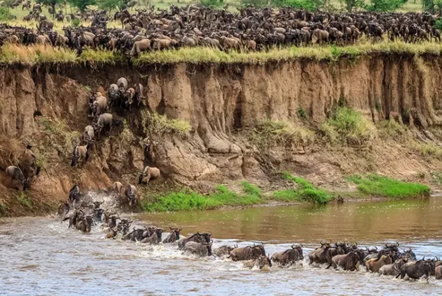 3 Days / 2 Nights – Masai Mara Safari