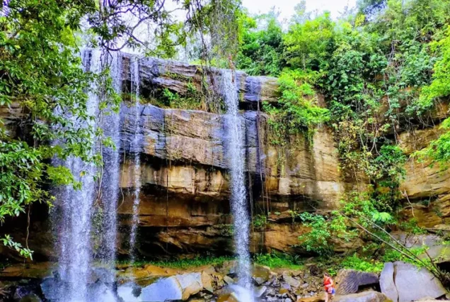 A Day Trip To Shimba Hills National Reserve