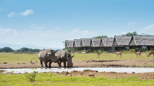 2 Days, 1 Night Ol Pejeta Conservancy Safari
