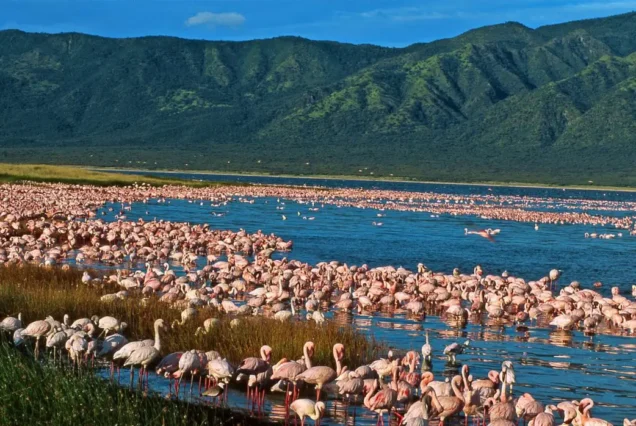 2 Days / 1 Night Lake Elementaita Getaway