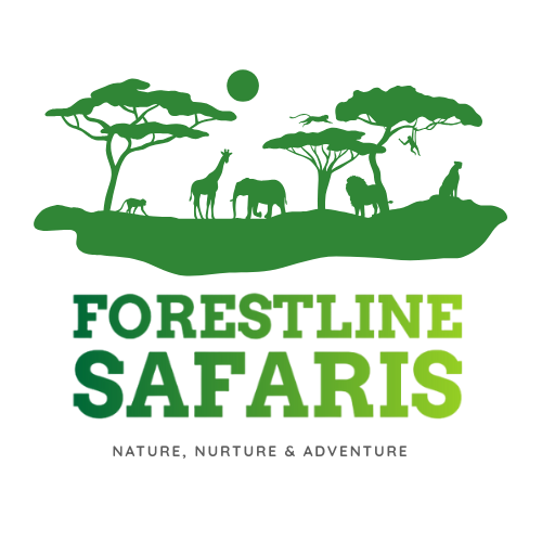 Forestline Safaris