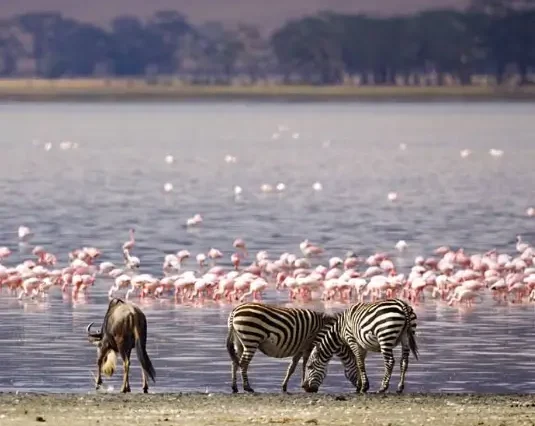 5 Days – Lake Nakuru, Naivasha and Hell’s Gate Safari (group sharing)